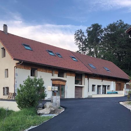 T4 Meuble De 105M2 Axe Annecy-Geneve Saint-Martin-Bellevue Exterior photo