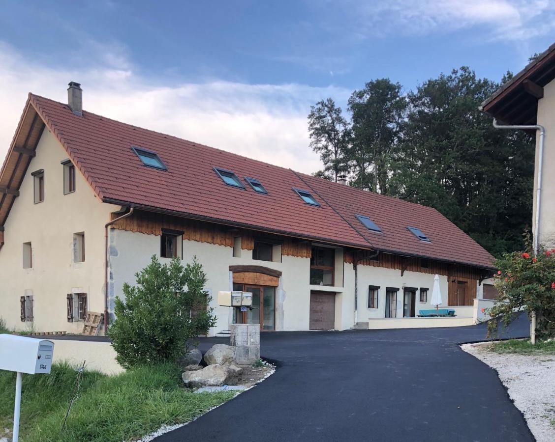 T4 Meuble De 105M2 Axe Annecy-Geneve Saint-Martin-Bellevue Exterior photo